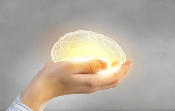 Hand holding illustration of brain