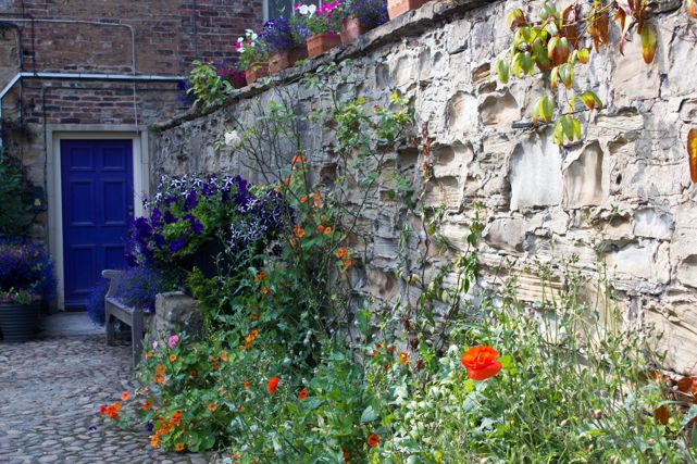 photo shows a garden wall with wildflowers leading to a royal blue front door